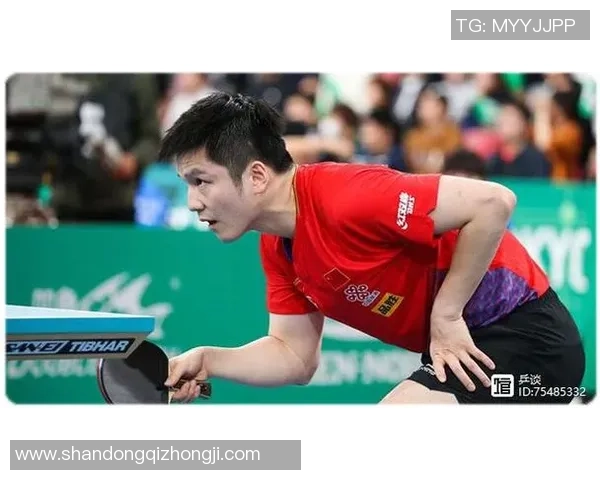 杭州乒乓球队快攻革新之路：技术突破与战术创新的深度解析